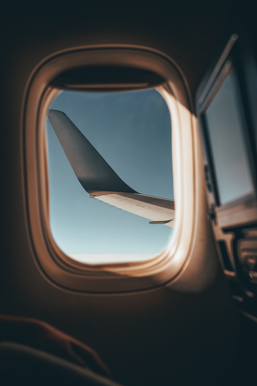 plane-view